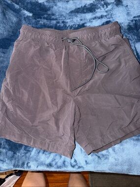 American Eagle Gray Elastic Waist Mesh-Lined Swim Trunks